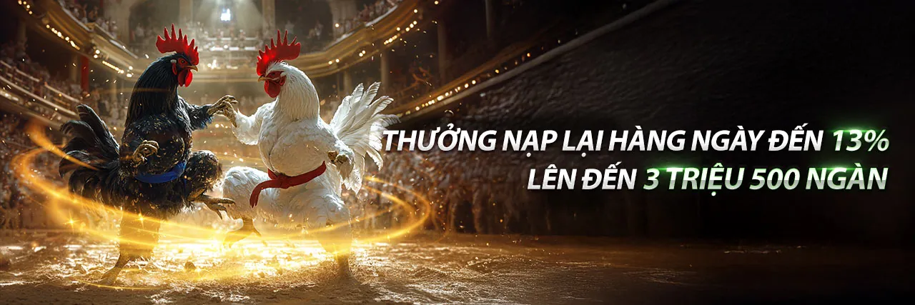 Đá gà trực tiếp ngày 23 tháng 8 – nbet88